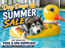 Dog Days Of Summer Deals For You