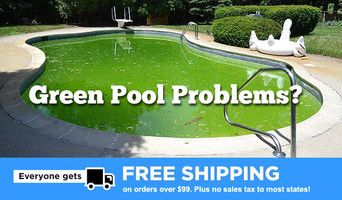 Don't Let This Heat Turn Your Pool Green!