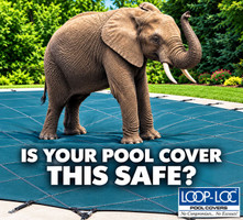 It's Time To Order Your Loop Loc  Cover