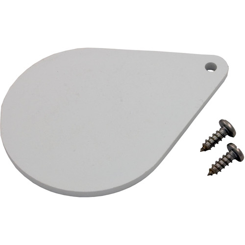 Carvin/Jacuzzi Trim-Plate Dm Skim.W/14432702 - 43306307R000