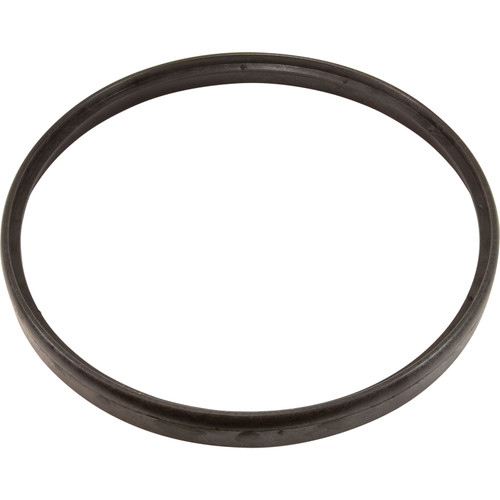 Hayward Pool Products Aquabug Ring - AXV458