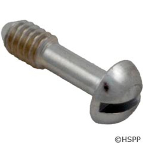 Hayward Pool Products Face Rim Lockscrew W/Washer - SPX0503Z20A