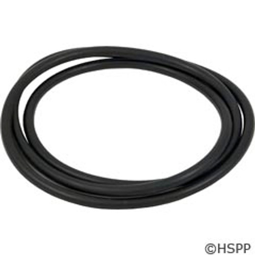 Hayward Pool Products O-Ring, Body - CCX1000G