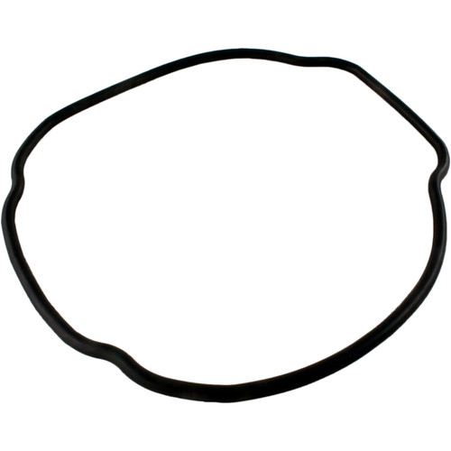 Hayward Pool Products O-Ring, Housing - SPX3200T