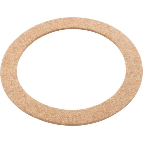 Hayward Pool Products Slip Washer - SPX1025Z3