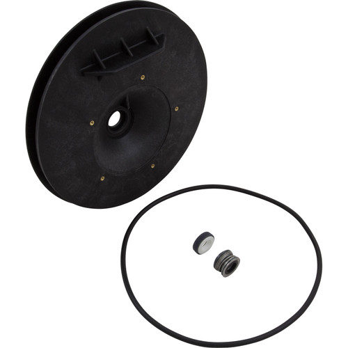 Pentair/Sta-Rite Seal Plate Kit Dura/Maxi(Repl Current & Pre-98) - C203-193P