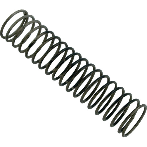 Raypak Spring-Bypass - 850253