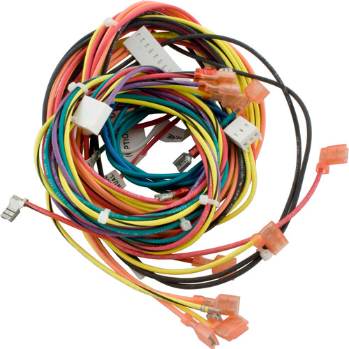 Raypak Wire/Harness Iid R185B-R405B - 009490F