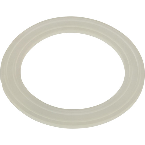 Balboa Water Group/ITT Gasket, Standard Wall Fitting - 30-3804CLR