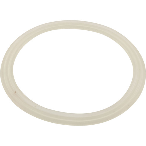 Waterway Plastics Gasket, Flat - 711-6608