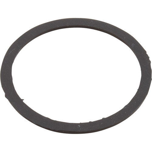 Waterway Plastics Polyjet/Rotojet Internal Gasket - 711-6090