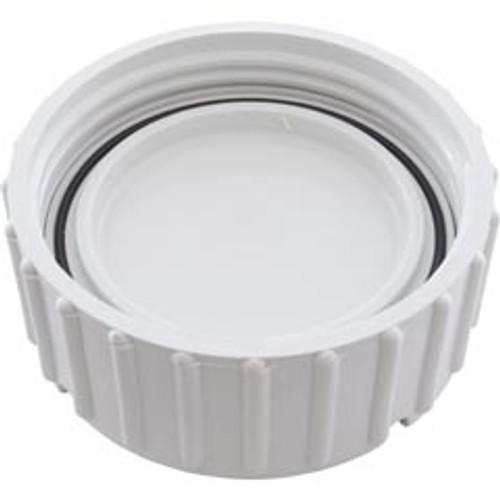 Zodiac Pool Systems Blank Cap - W193821