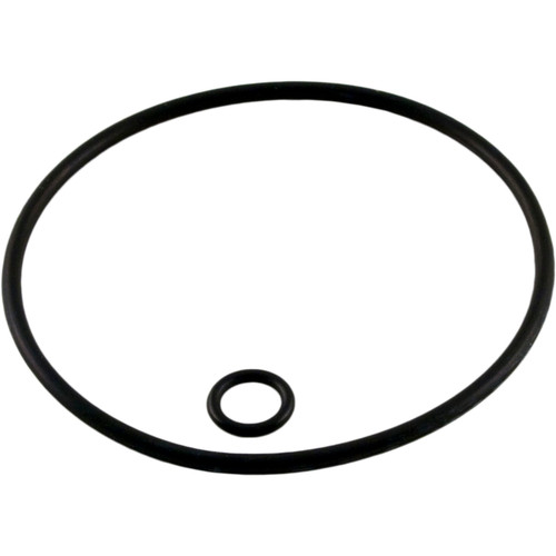 Zodiac/Polaris O-Ring Kit, Back-Up Valve (380/360/280/180) - G58