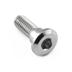 Stainless Steel Disc Bolt To Fit Honda M8x24mm