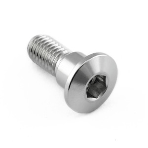 Stainless Steel Disc Bolt To Fit Suzuki M8x22mm