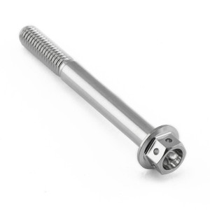 Stainless Steel Flanged Hex Head Bolt M6X(1.00mm)x55mm Race Spec