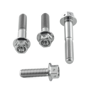 Stainless Steel Brake & Clutch Lever Perch Pinch Bolt Kit Race Spec