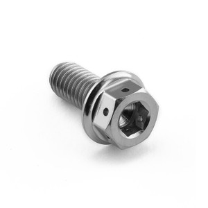 Titanium DualDrive Bolt M6x(1.00mm)x14mm Race Spec