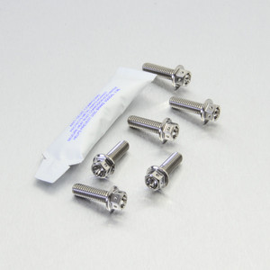 Titanium Disc Bolt M6x20mm Race Spec Pack x6 Rear