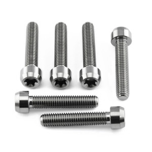 Titanium Top & Bottom Clamp Yoke Pinch Kit Torx Drive