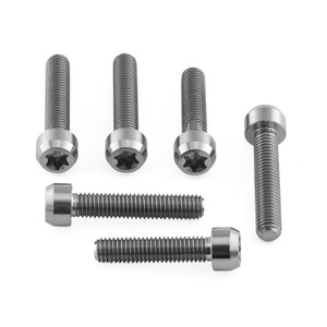 Titanium Top & Bottom Clamp Yoke Pinch Kit Torx Drive