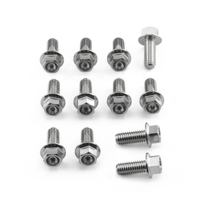 Stainless Steel Disc Bolt Flanged Hex M6 x 15mm Pack x 12