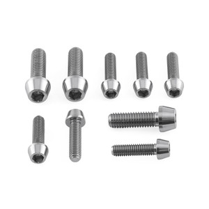 Titanium Top & Bottom Yoke Pinch Kit