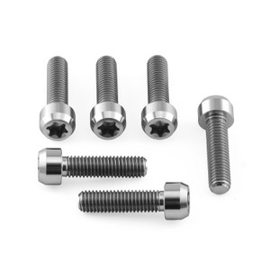 Titanium Top & Bottom Clamp Yoke Pinch Kit Torx Drive