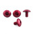 Aluminium Radiator Guard Mount Bolt Kit Red