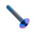 Titanium Dome Head Bolt M6x(1.00mm)x40mm (Full Thread) Purple Haze