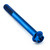 Titanium Flanged Hex Head Bolt M8x(1.25mm)x70mm Blue