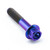 Titanium Flanged Hex Head Bolt M6x(1.00mm)x32mm Race Spec Purple Haze