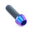 Titanium Socket Cap Bolt M10x(1.50mm)x30mm Purple Haze