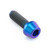 Titanium Socket Cap Bolt M4x(0.70mm)x12mm Purple Haze