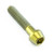 Titanium Socket Cap Bolt M6x(1.00mm)x30mm Gold