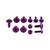 Aluminium Mudguard & Hugger Bolt Kit Purple