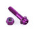 Aluminium Reservoir Mount Bolt Kit Rear Brake Race Spec Etched Purple
