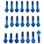 Titanium Engine Kit BMW S1000RR Flanged Hex Blue