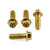 Stainless Steel Clip-On / Handle Bar Mount Bolts Gold