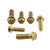 Stainless Steel Upper Engine Mount Bolt Kit Bolt Kit Gold