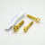 Stainless Steel Exhaust Hanger Mount Bolt Kit Gold