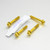 Stainless Steel Front Axle Pinch Bolt Set Gold