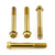 Stainless Steel Front Brake Mounting Bolt Kit Gold
