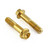 Stainless Steel Front Brake Mounting Bolt Kit Gold