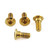 Stainless Steel Rider Footrest Hanger Bolt Kit Gold