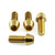 Stainless Steel Rider Footrest Hanger Bolt Kit Gold