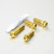Stainless Steel Subframe Bolt Kit Gold
