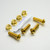 Stainless Steel Subframe Bolt Kit Gold
