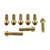Stainless Steel Top & Bottom Yoke Pinch Set Gold