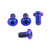 Titanium Disc Bolt To Fit Ducati M8x13mm Pack x4 Purple Haze